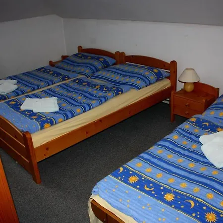 Hotel Diana Novy Jachymov